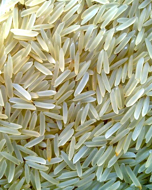 1121 Basmati Rice India, 1121 Basmati Rice Manufacturers ...